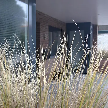 Longhouse * 잔드보르트