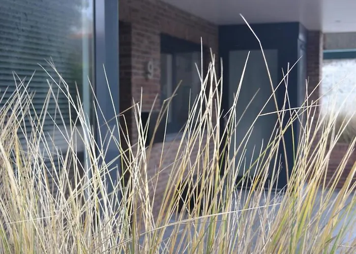 Longhouse * Zandvoort